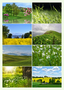 Collage foto natura 4 stagioni - crea e stampa premium con modelli per paesaggi e animali Collage foto natura 4 stagioni - crea e stampa premium con modelli per paesaggi e animali