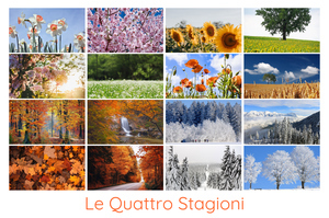 Collage foto natura 4 stagioni - crea e stampa premium con modelli per paesaggi e animali Collage foto natura 4 stagioni - crea e stampa premium con modelli per paesaggi e animali