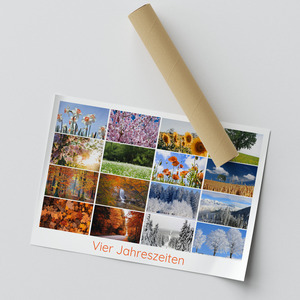 Jahreszeiten-Fotocollage jetzt erstellen – Natur, Landschaft & Tiere im Premiumdruck
