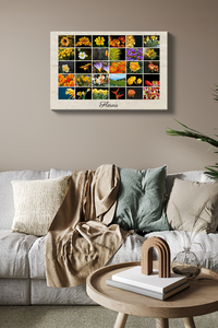 Créez votre collage de fleurs personnalisé avec texte