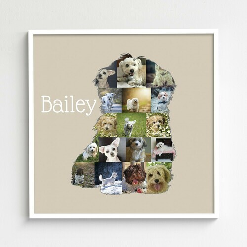 Collage Havanese Personalizzata per Amanti dei Cani - Crea e Ricorda