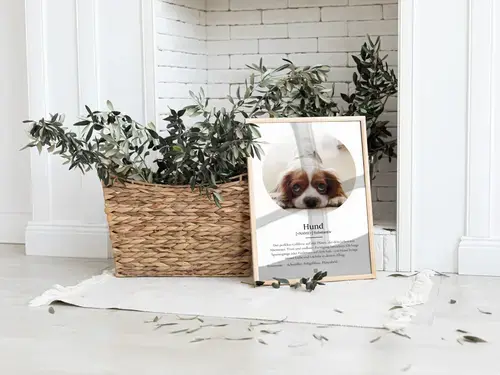 Definitions-Poster Hund mit personalisiertem Foto