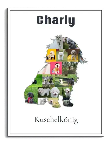 Hunde-Fotocollage "Bolonka Zwetna" erstellen. Eigene Fotos, Namen und Texte.
