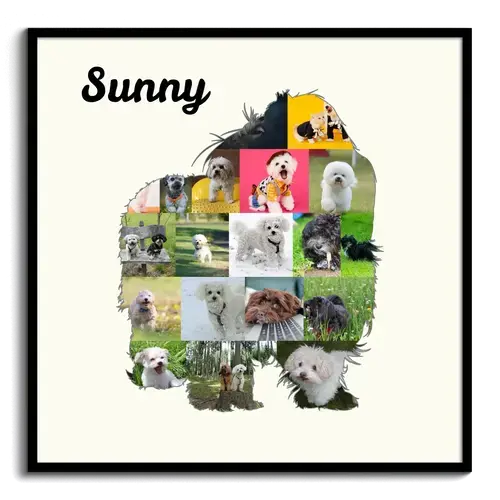 Hunde-Fotocollage "Bolonka Zwetna" erstellen. Eigene Fotos, Namen und Texte.