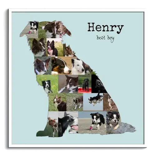 Crea una Collage Border Collie: immortala il tuo cane con foto e testo personalizzato