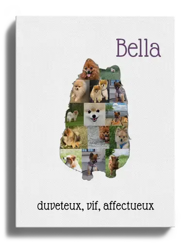 Créez une Silhouette Chien Spitz Personnalisée avec Vos Photos et Texte