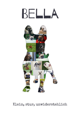 Hunde-Fotocollage "Französische Bulldogge" erstellen. Eigene Fotos, Namen und Texte.