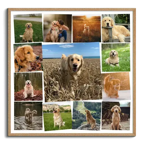 Fotocollage "Hundemomente" mit zentralem Bild