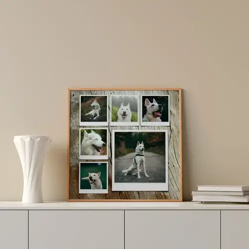 Fotocollage Hund individuell gestalten