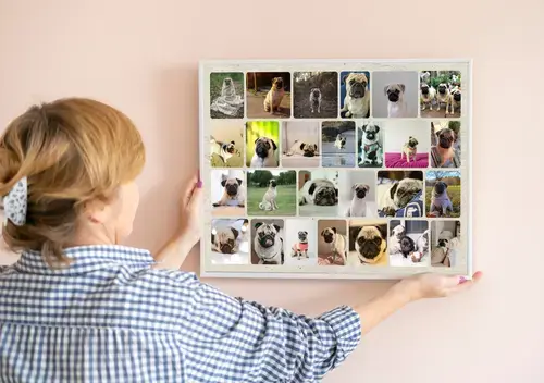 Fotocollage Hund individuell gestalten
