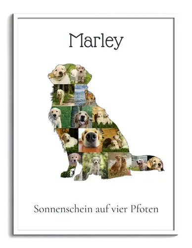 Hunde-Fotocollage "Golden Retriever" erstellen. Eigene Fotos, Namen und Texte.