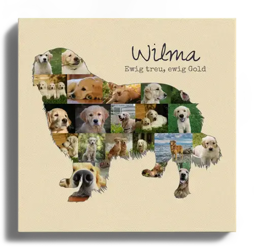 Hunde-Fotocollage "Golden Retriever" erstellen. Eigene Fotos, Namen und Texte.