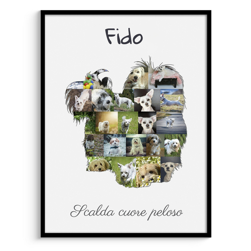 Collage Havanese Personalizzata per Amanti dei Cani - Crea e Ricorda