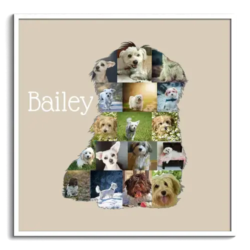 Collage Havanese Personalizzata per Amanti dei Cani - Crea e Ricorda