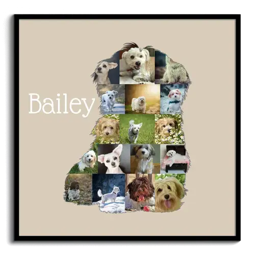 Collage Silhouette Havaneser Photo Personnalisable Chien