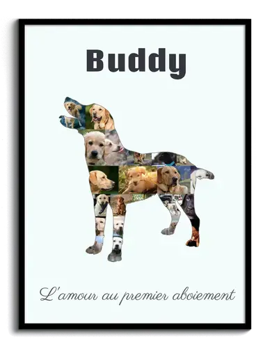 Collage photo personnalisée Labrador - Créez un souvenir unique pour votre chien