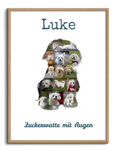 Hunde-Fotocollage "Malteser" erstellen. Eigene Fotos, Namen und Texte.