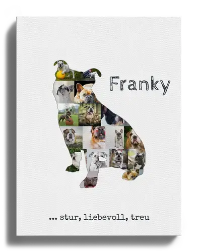 Hunde-Fotocollage "Old English Bulldog" erstellen. Eigene Fotos, Namen und Texte.