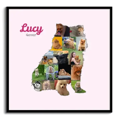 Crea la tua Collage Pomeranian con Foto e Testo Personalizzato