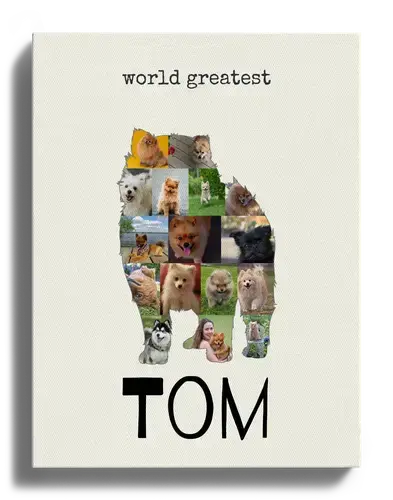 Crea la tua Collage Pomeranian con Foto e Testo Personalizzato