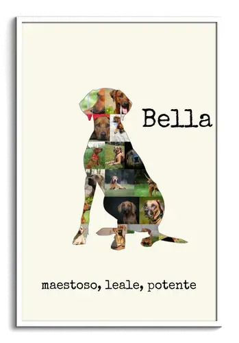 Collage Rhodesian Ridgeback: Crea il tuo ricordo personale
