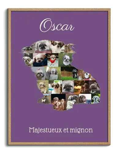 Collage Shih Tzu Personnalisée - Créez votre Souvenir Canin Unique