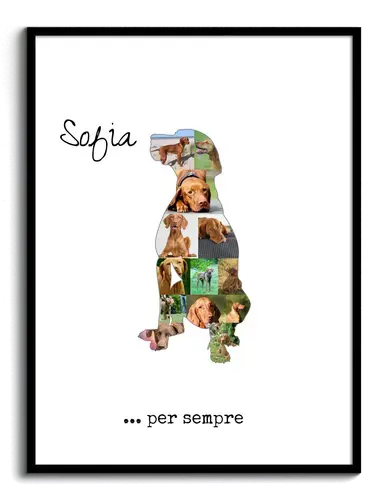 Crea la tua Collage Vizsla: Personalizza Foto & Testo!