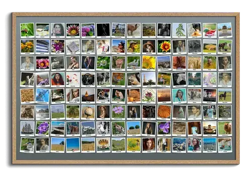 Créez une Collage Polaroid Unique avec Plus de 100 Photos et Textes Personnalisés