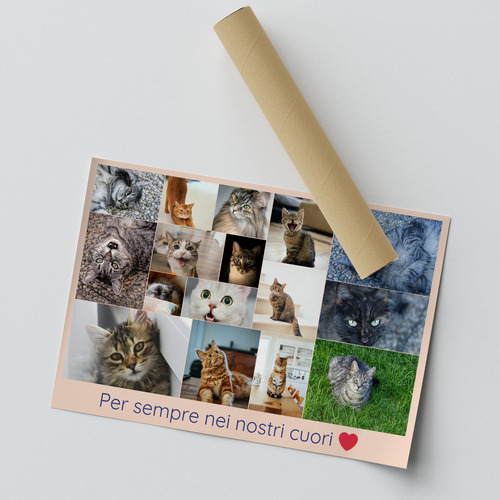 Collage commemorative: Gatto amato in cornici