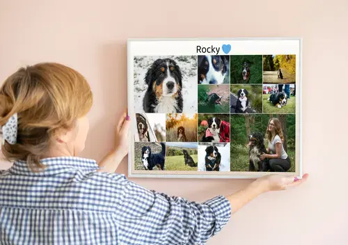 Collage photo hommage chien avec texte