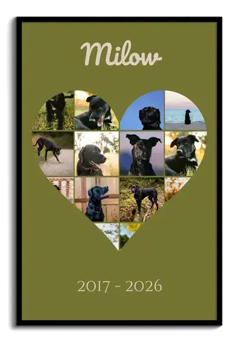 Collage photo hommage chien avec texte
