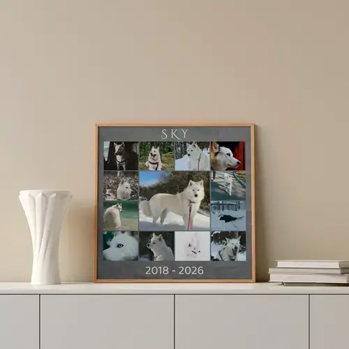 Collage photo hommage chien avec texte