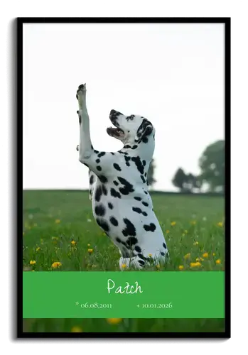 Trauer-Collage Hund mit Einzelbild, Namen & Daten