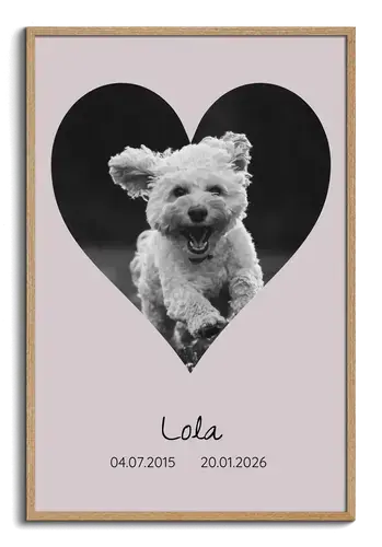 Collage a forma di cane, in ricordo, nome e anni