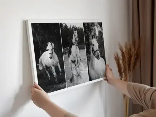 Poster commemorativo cavallo con foto e dati