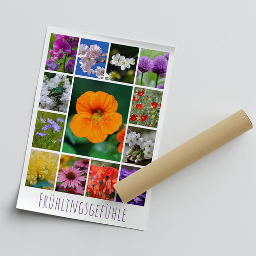 Blumen & Pflanzen Fotocollage – gestalte deinen Premiumdruck als Poster & Leinwand