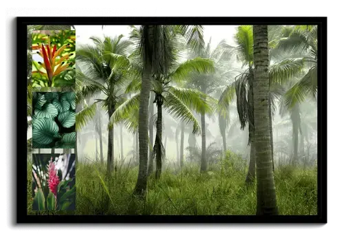 Collage Premium: Piante e Fiori Tropicali