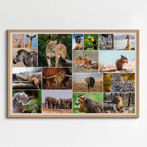Collage fotografico animali in natura - crea la tua stampa premium online ora