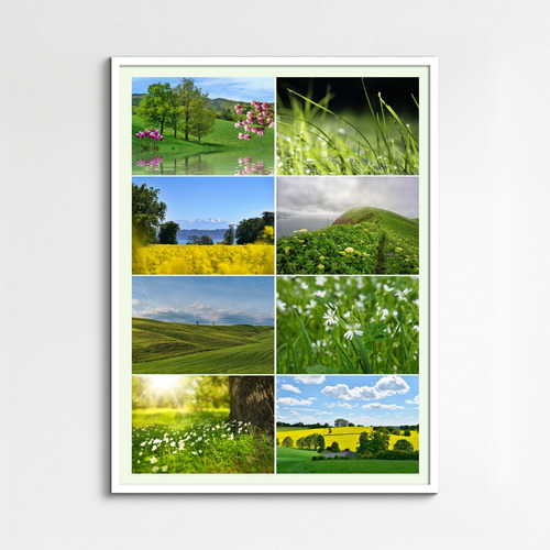 Collage foto natura 4 stagioni - crea e stampa premium con modelli per paesaggi e animali