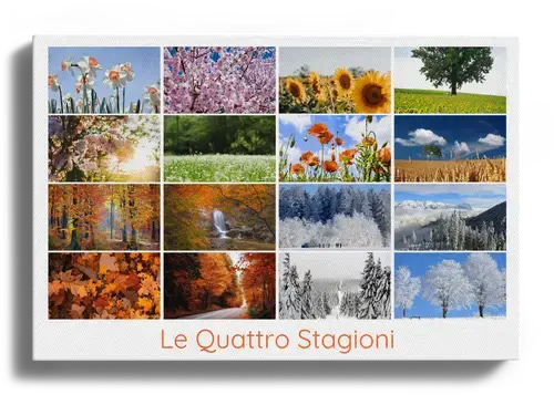 Collage di Stagioni: Natura e Paesaggi