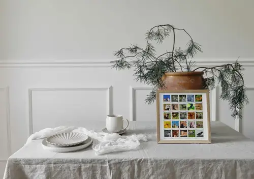 Animaux Sauvages en Collage Polaroid