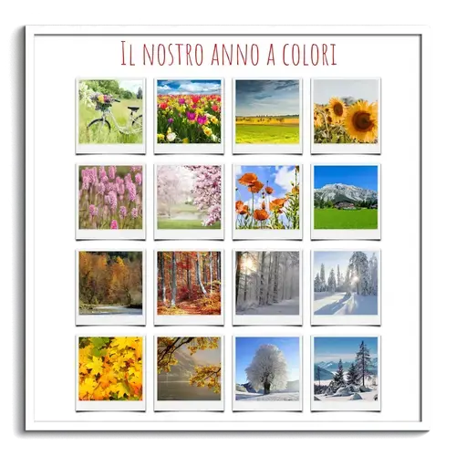 Collage Polaroid Natura: Fiori, Boschi e Spiagge