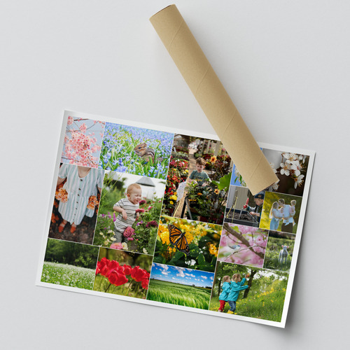 Collages photo de printemps – fleurs et prairies