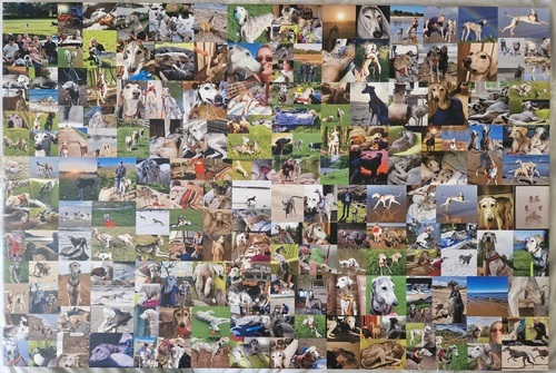 Kundenfoto von Beverley für Bewertung Druck Fotocollage Leinwand 36x24"