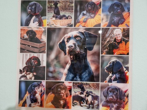 Foto del cliente Kathrin per la recensione Stampa Fotocollage Acrilico 80x80cm