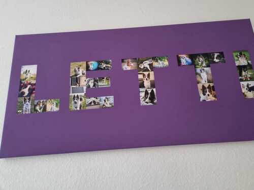 Kundenfoto von Ulrike für Bewertung Druck Fotocollage Leinwand 100x50cm