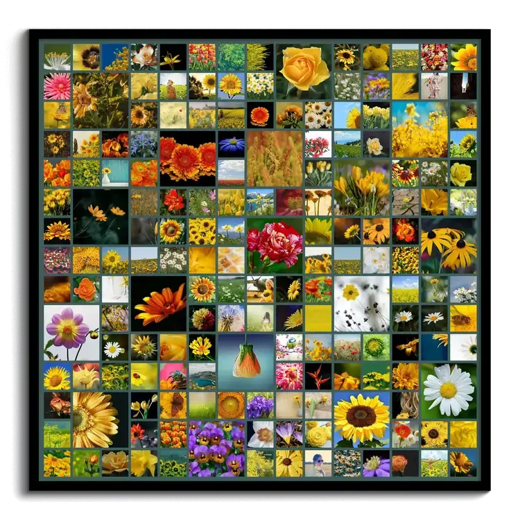 Fotocollage design molte foto a griglia con varianti