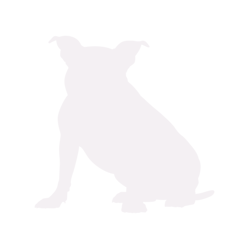 Silhouette de chien American Bully assis