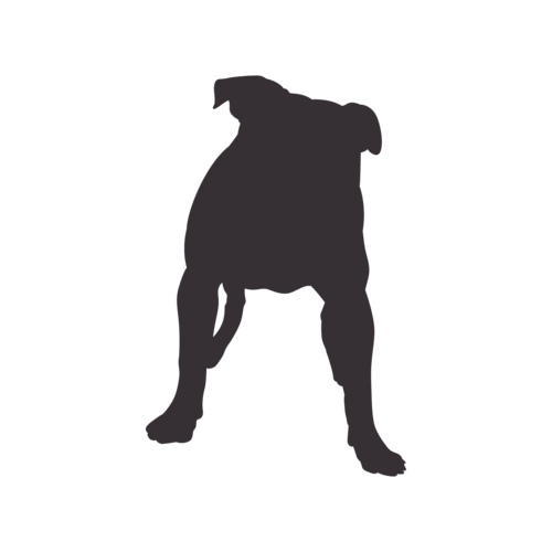 Silhouette de chien American Bully debout