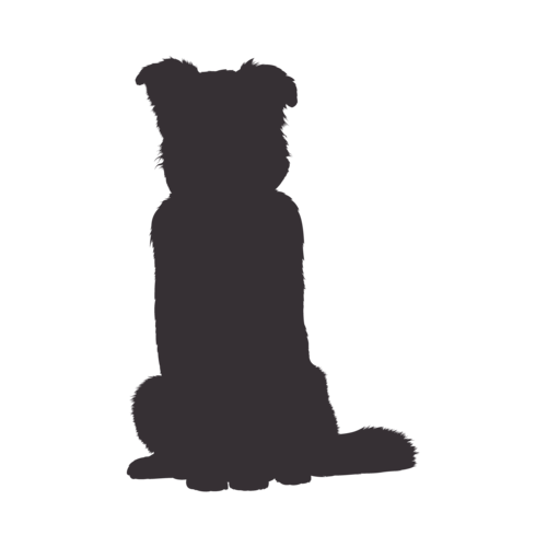 Silhouette de chien Berger Australien assis